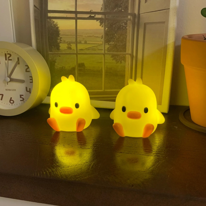 Light Sweet Duck Nights